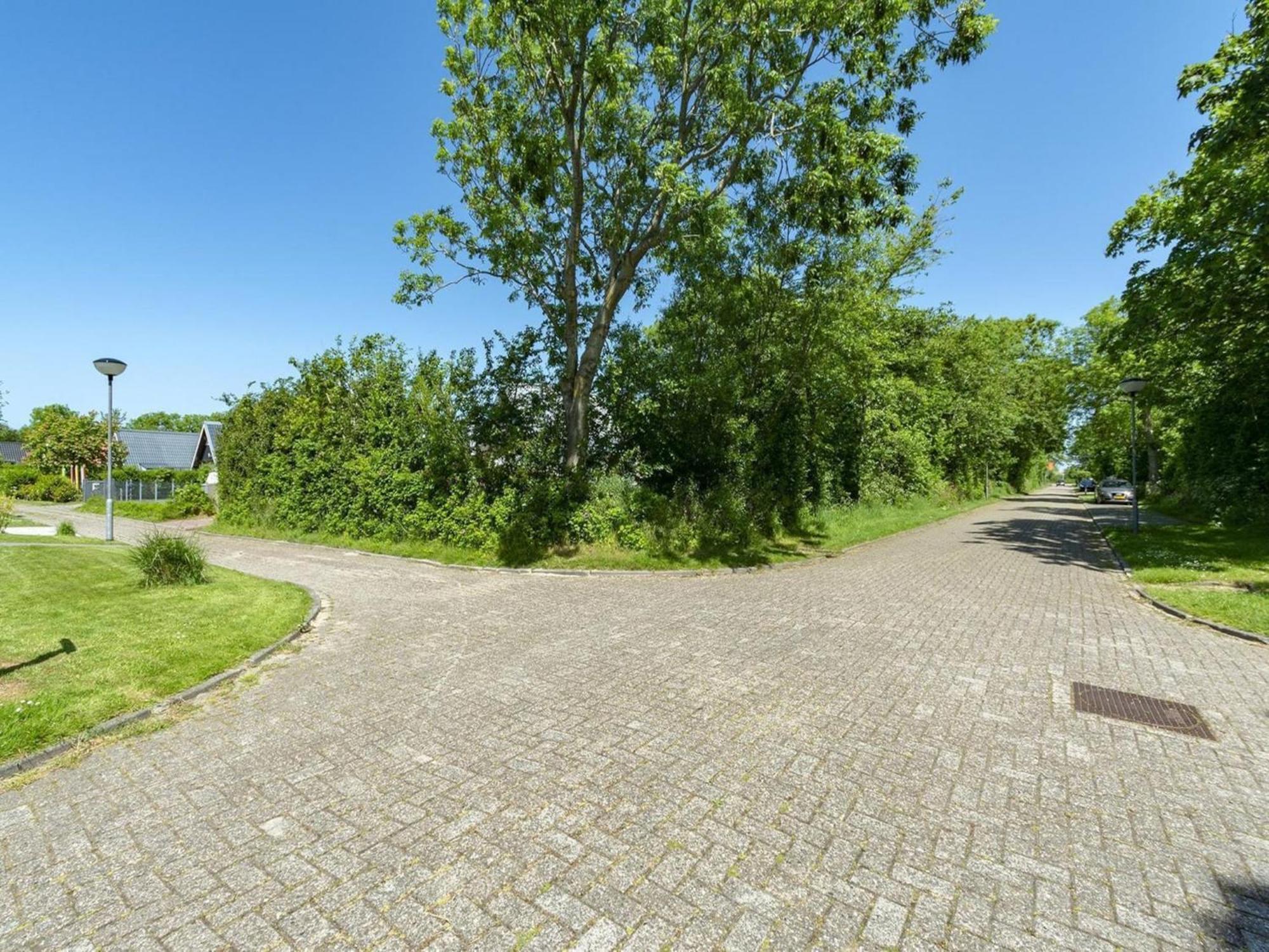 Luxury Holiday Home By Seaside And Dunes Callantsoog Dış mekan fotoğraf